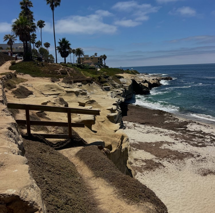 Contemporary museum building overlooking the La Jolla coastline in San Diego